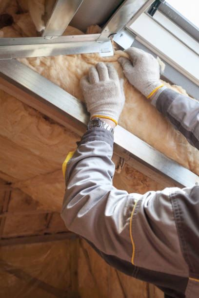 Best Residential Insulation in Blanco, TX